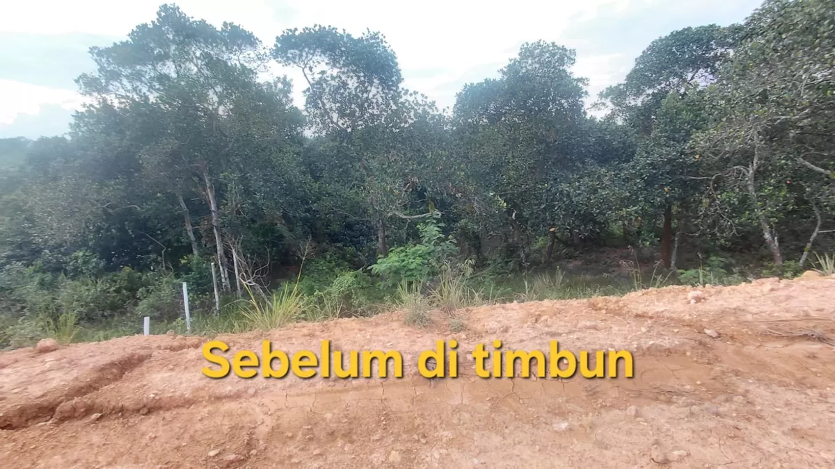 Posisi Hutan Lindung Sebelum di Timbun. (Bazo Nawacita)