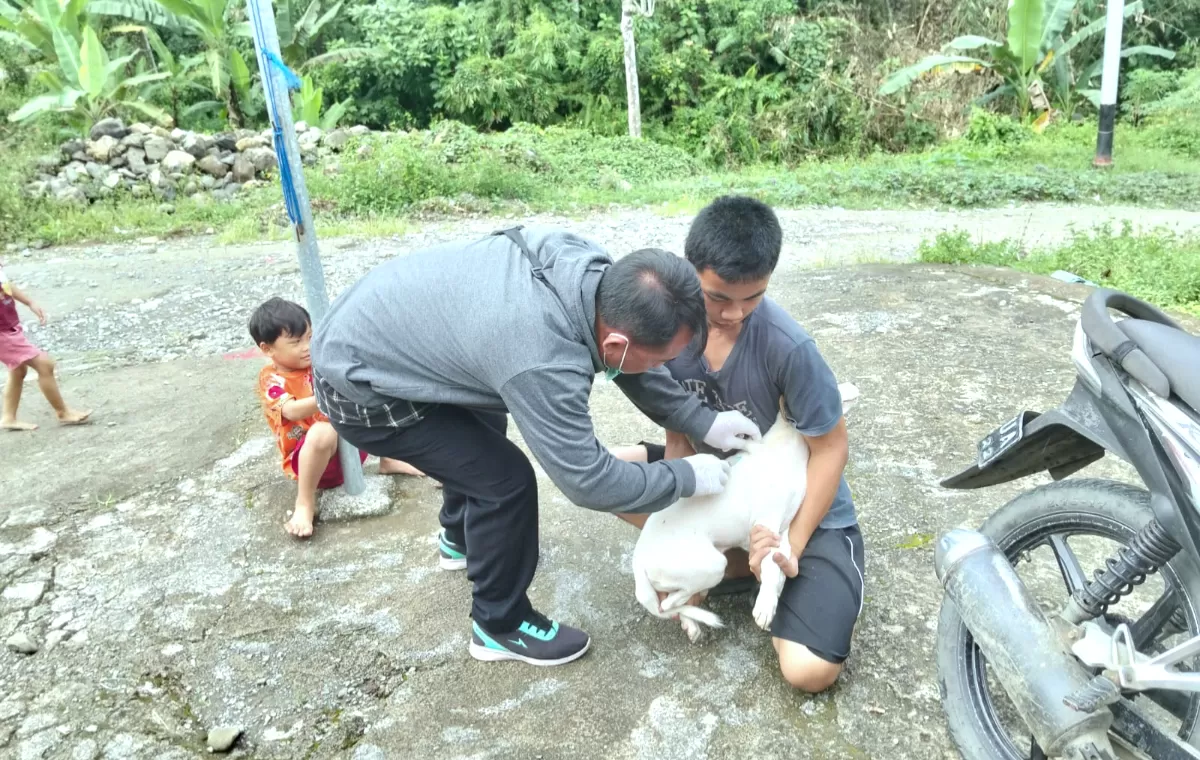 Petugas DKPP Kab. Nias Barat berikan vaksin rabies kepada anjing peliharaan warga dalam giat vaksinasi rabies gratis memperingati Bulan Bakti Peternakan dan World Rabies Day 2026, Sabtu (26/9/2026)