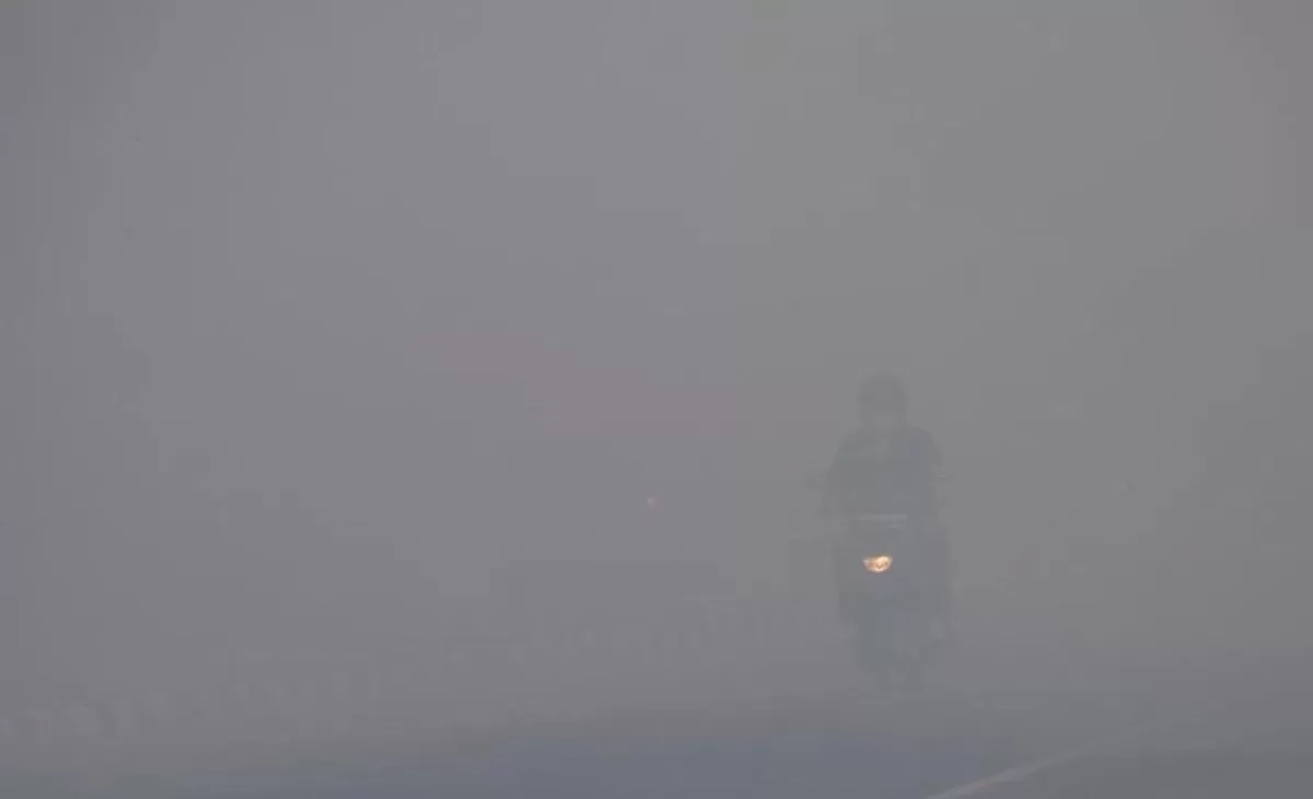 Kabut asap menyelimuti Palembang pada 5 Oktober 2026, seperti terlihat dalam video yang dibagikan warga melalui Threads. (Threads/@worky.i**)