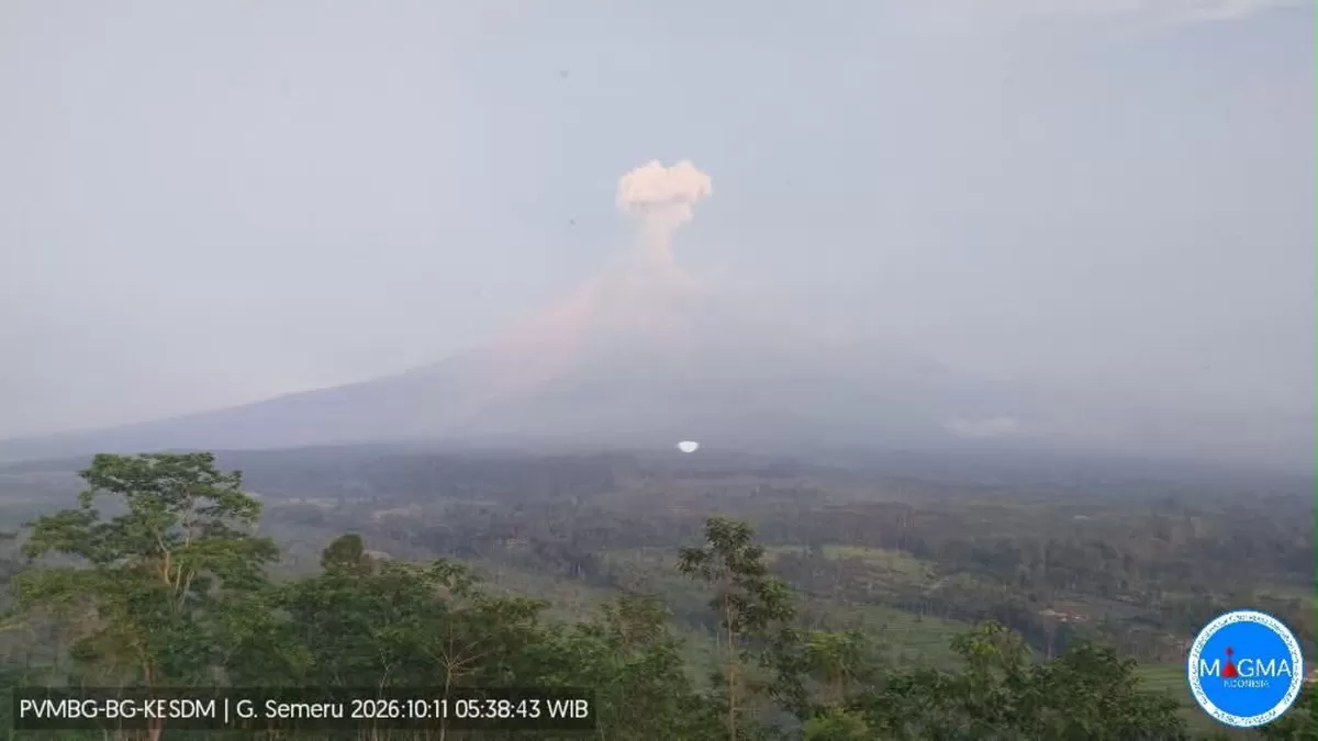 Kolom abu Gunung Semeru terpantau membubung saat terjadi erupsi di Jawa Timur pada Minggu (11/10/2026). (Foto: Tangkapan layar Threads @infogempa***)