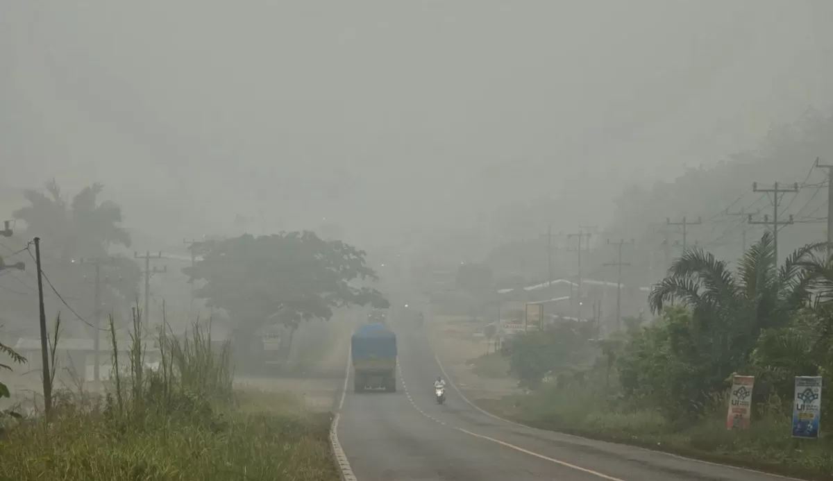 Kabut asap terlihat di Simpang Somel, Bungo, Jambi, Senin, 12 Oktober 2026. (Threads/otrisky)