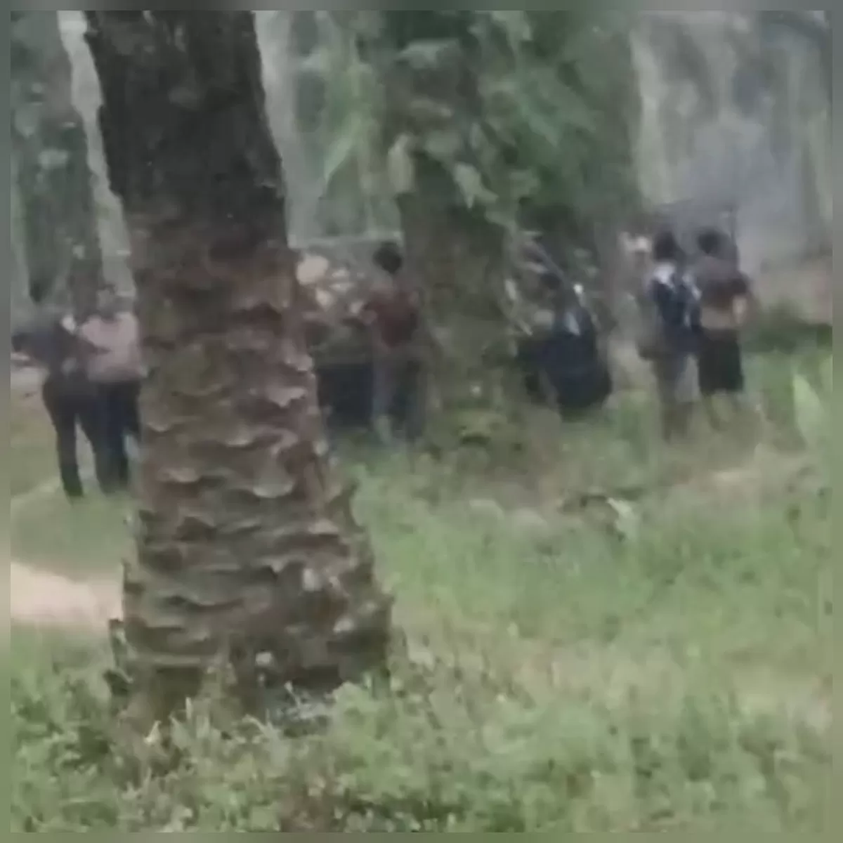 Foto  diduga para pelaku saat membawa ternak sapi dengan mengunakan mobil L 300 modifikasi dari hadapan korban keluarga nya (NAWACITAPOST.COM)