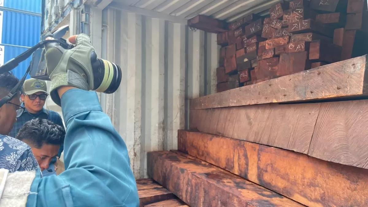 Kemenhut Bongkar Dugaan Pencucian Kayu, 23 Kontainer Merbau dari Nabire Diamankan di Surabaya