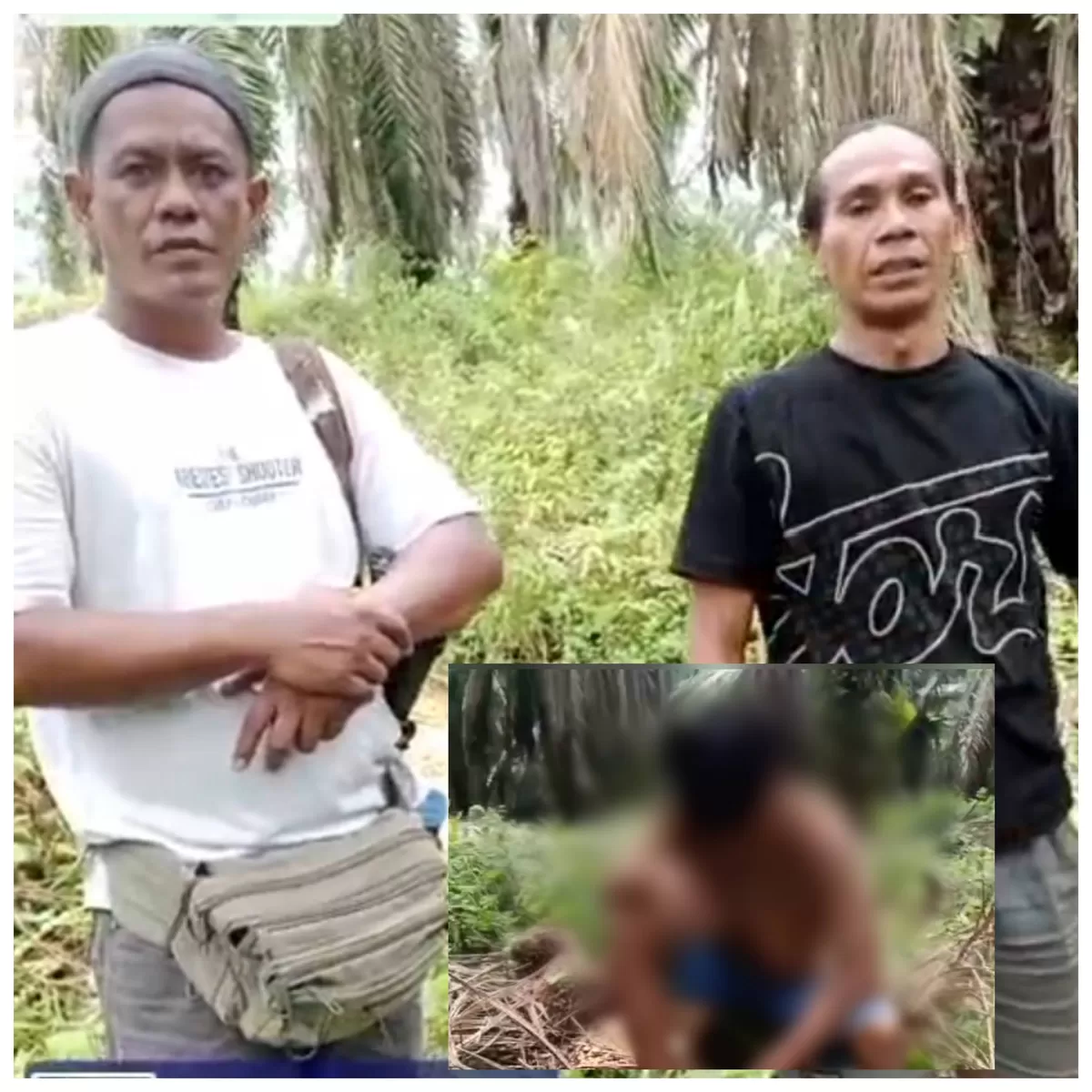 Foto Pengurus KTSN Saat Menangkap Basah Diduga Pencuri Buah Kelapa Sawit Berakhir Berdamai  (NAWACITAPOST.COM)