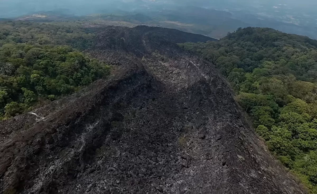 Tim gabungan melakukan pemadaman dan pengecekan sisa kebakaran di lereng Gunung Arjuno setelah karhutla yang melanda berhasil dipadamkan. (Instagram.com/@andrearamadhaan)