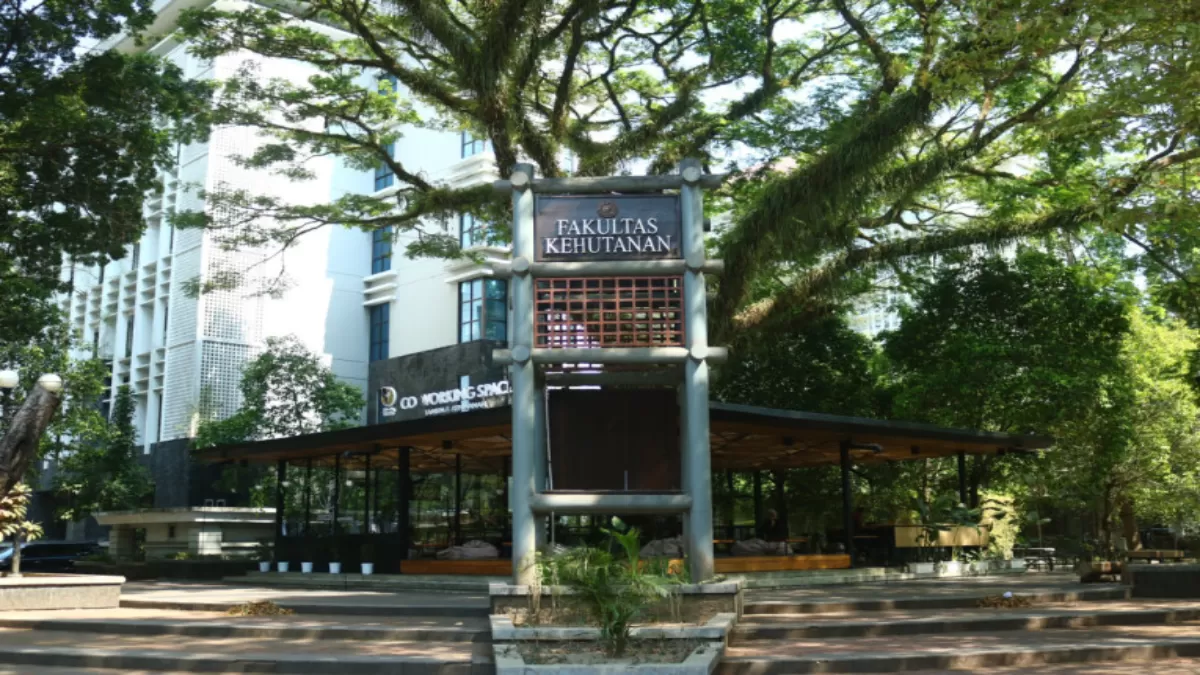 UGM Makin Diakui Dunia, Pertanian dan Kehutanan Stabil di Ranking ...