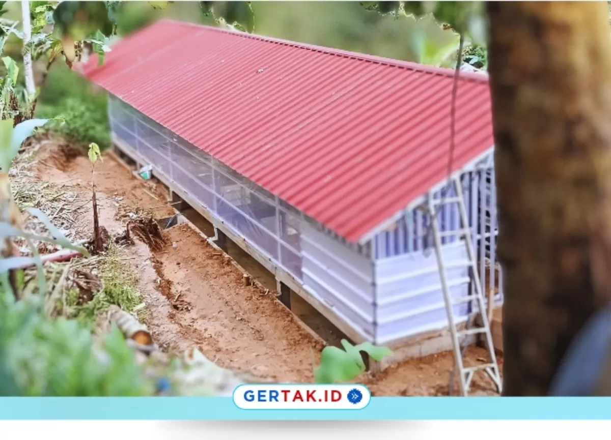 Optimalkan Dana Desa 2025, BUMDes Majasari Kembangkan Ayam Petelur untuk Dongkrak Ekonomi./Dok.Pemdes Majasari