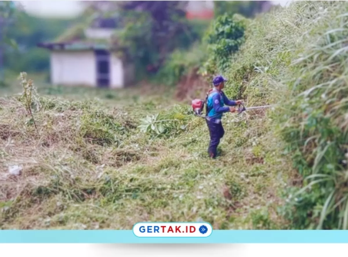 UPTD Pertamanan Kabupaten Bandung Bersihkan Lahan Terbengkalai di Kutawaringin./Dok.Dhany Gertak