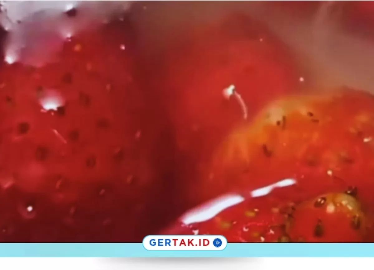 Foto Tangkapan Layar : Viral puding stroberi menu MBG di Lowokwaru, Kota Malang ditemukan belatung hidup. (Instagram/info_malang)