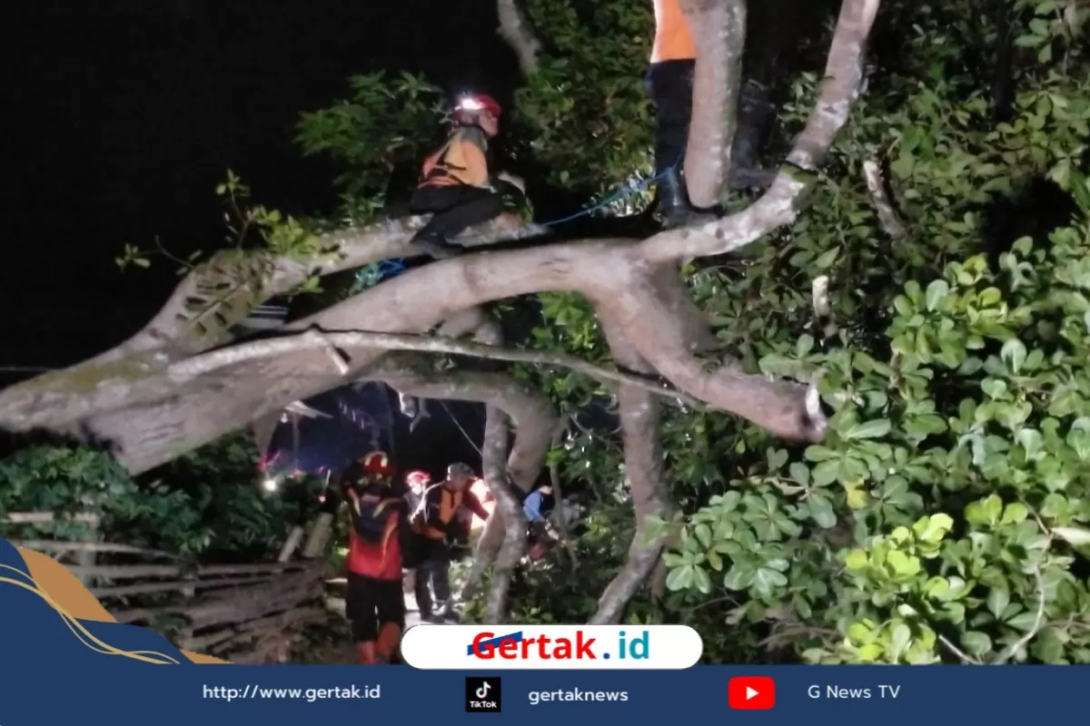 BPBD Sampang Evakuasi Tiga Pohon Tumbang di Torjun Usai Diterjang Angin Kencang  