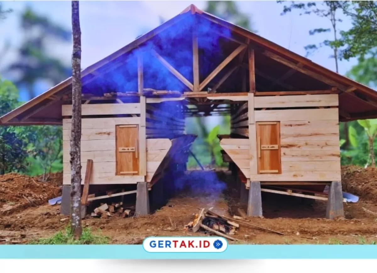 Program Ketahanan Pangan Desa Sobang Kembangkan Penggemukan Domba dan Budidaya Jahe Merah./Dok.Bumdes Sobang