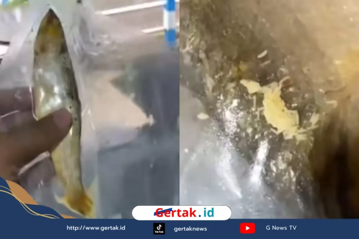 SPPG Cahaya Ngrayun Ponorogo Akui Teledor Usai Viral Temuan Belatung di Menu MBG   