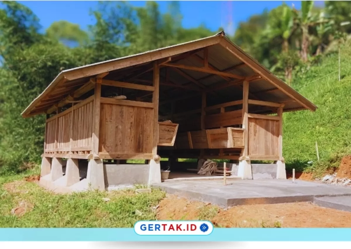 Program Ketahanan Pangan Desa Kujangjaya Kembangkan Penggemukan Domba./Dok.Bumdes Kujangjaya