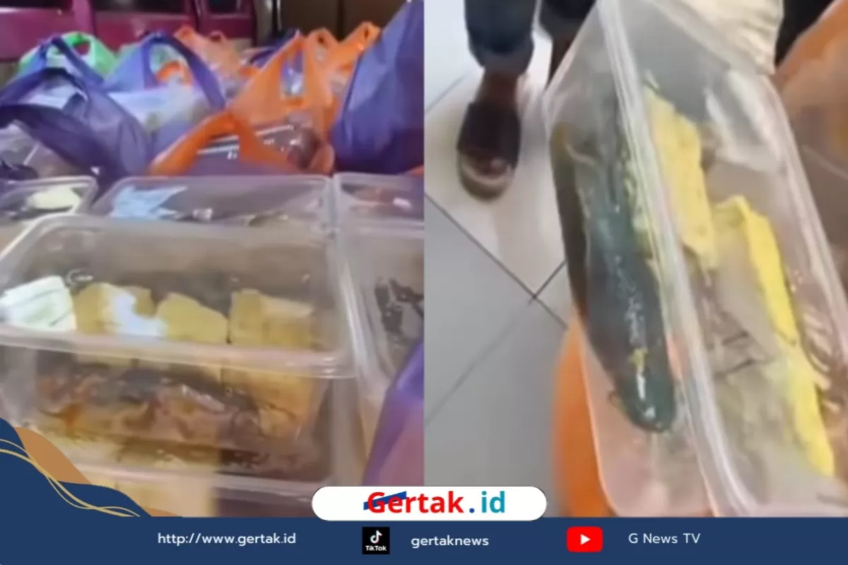 SMAN2 Pamekasan Tolak 1.022-porsi MBG, Lele Mentah Tak Layak Dibagikan: Demi Keselamatan Anak-anak  