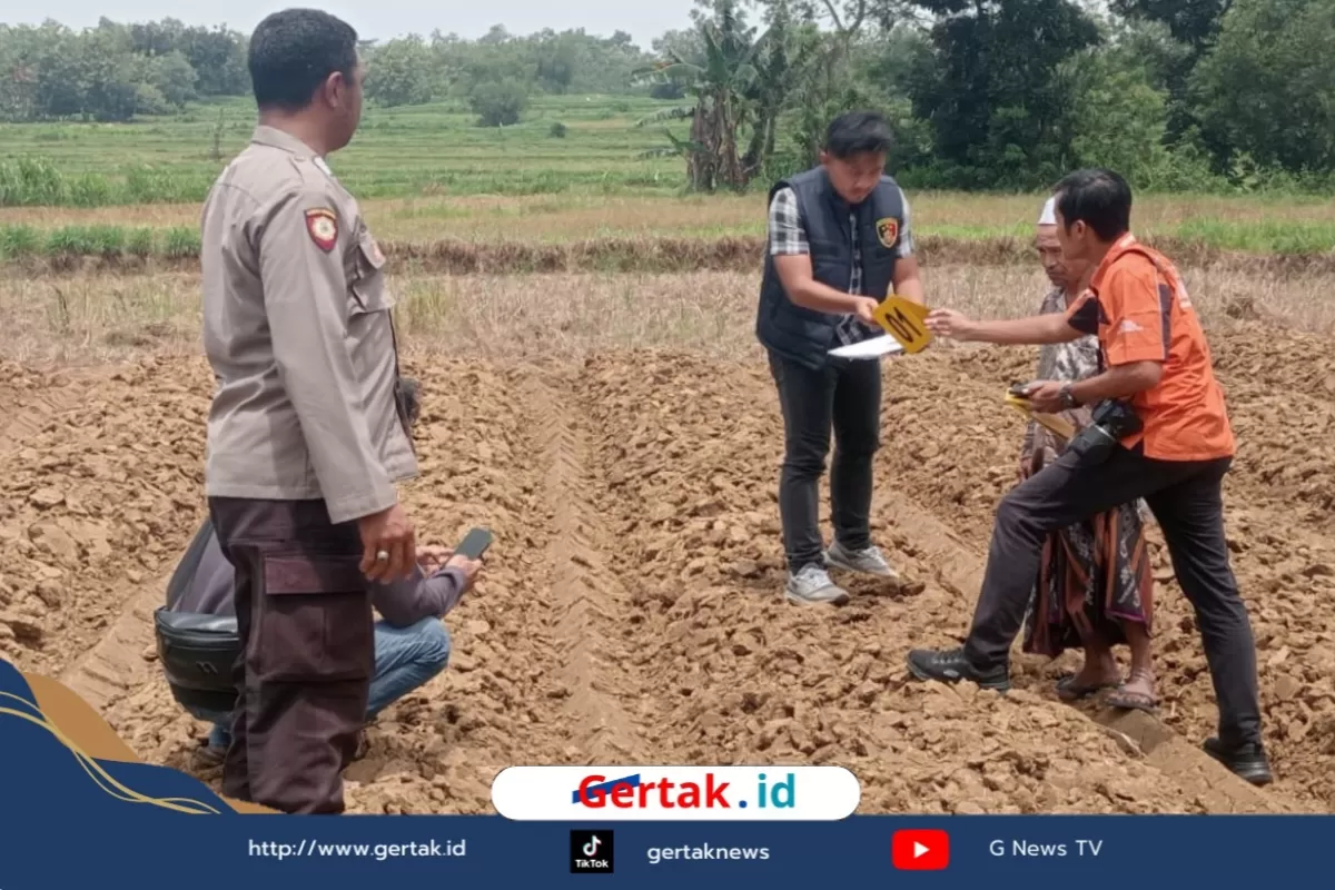 Sadis di Tengah Sawah! Petani di Robatal Tewas Ditusuk Bambu Berpisau  