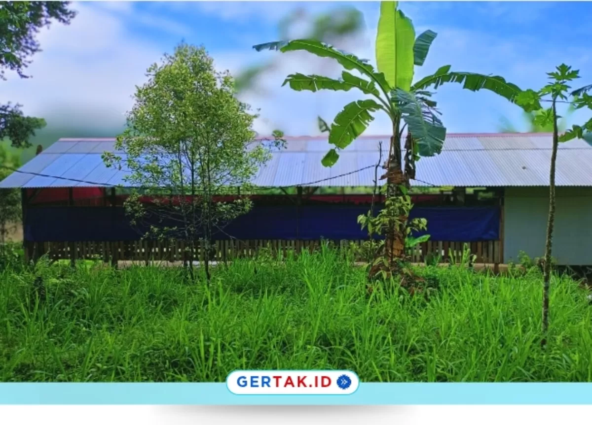 Perkuat Ketahanan Pangan, Desa Mekarsari Kembangkan Usaha Ayam Petelur./Dok.Bumdes Mekarsari