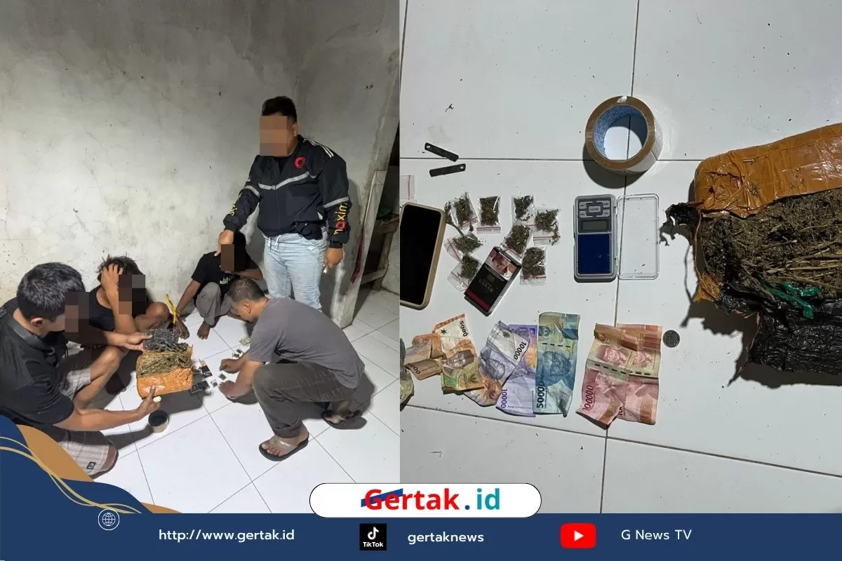 Dua Pemuda di Pekalongan Ditangkap, Polisi Sita Paket Ganja Siap Edar