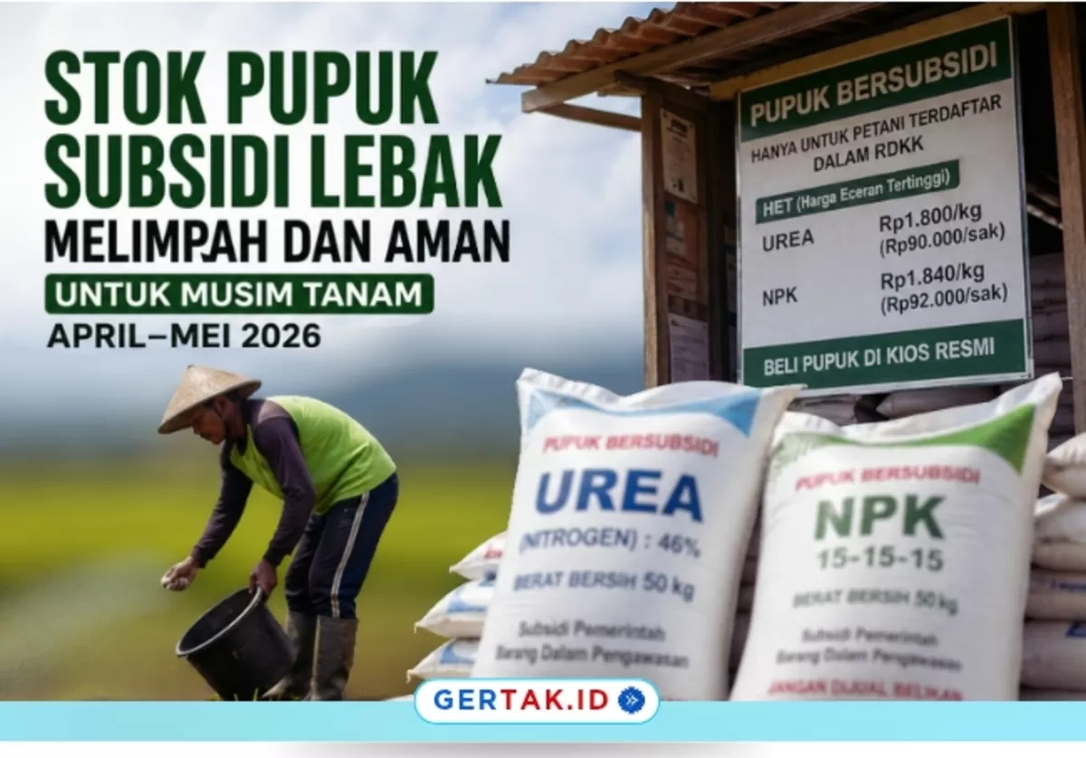 Gambar Ilustrasi: Stok Pupuk Subsidi Lebak Melimpah, Pemkab Pastikan Aman untuk Musim Tanam April&ndash;Mei 2026