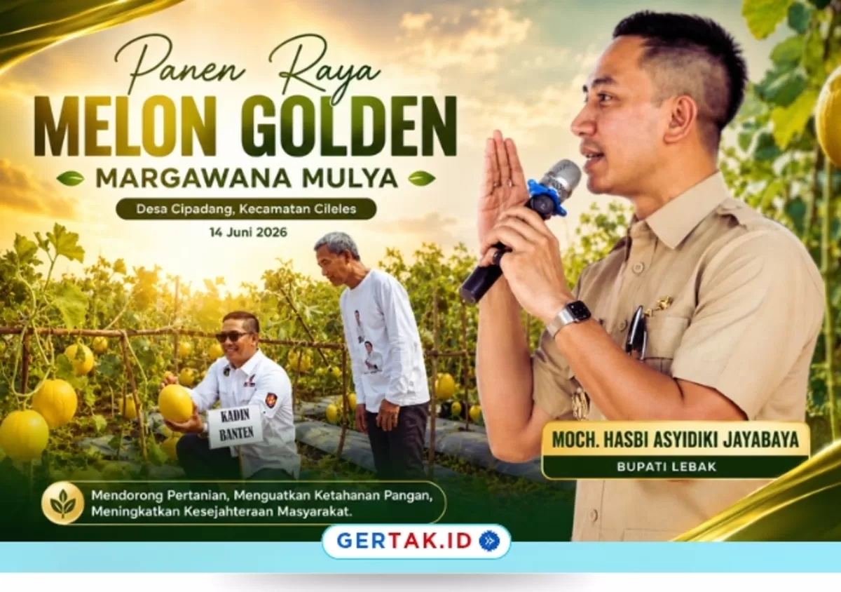 Keterangan Foto:Bupati Lebak Moch. Hasbi Asyidiki Jayabaya saat menghadiri Panen Raya Melon Golden Margawana Mulya di Desa Cipadang, Kecamatan Cileles, Kamis (14/06/2026).