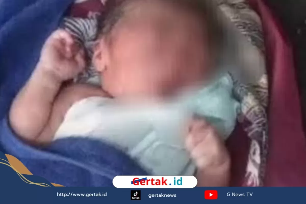 Bayi Laki-laki Ditemukan di Semak Perbatasan Sampang-Bangkalan, Polisi Selidiki