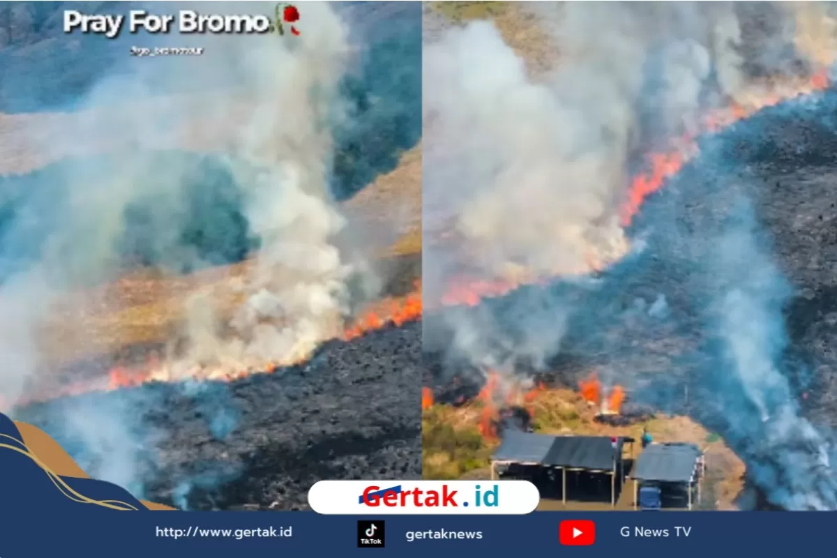 BREAKING NEWS: Kebakaran Gunung Bromo Meluas, Jalur Malang-Lumajang Resmi Ditutup