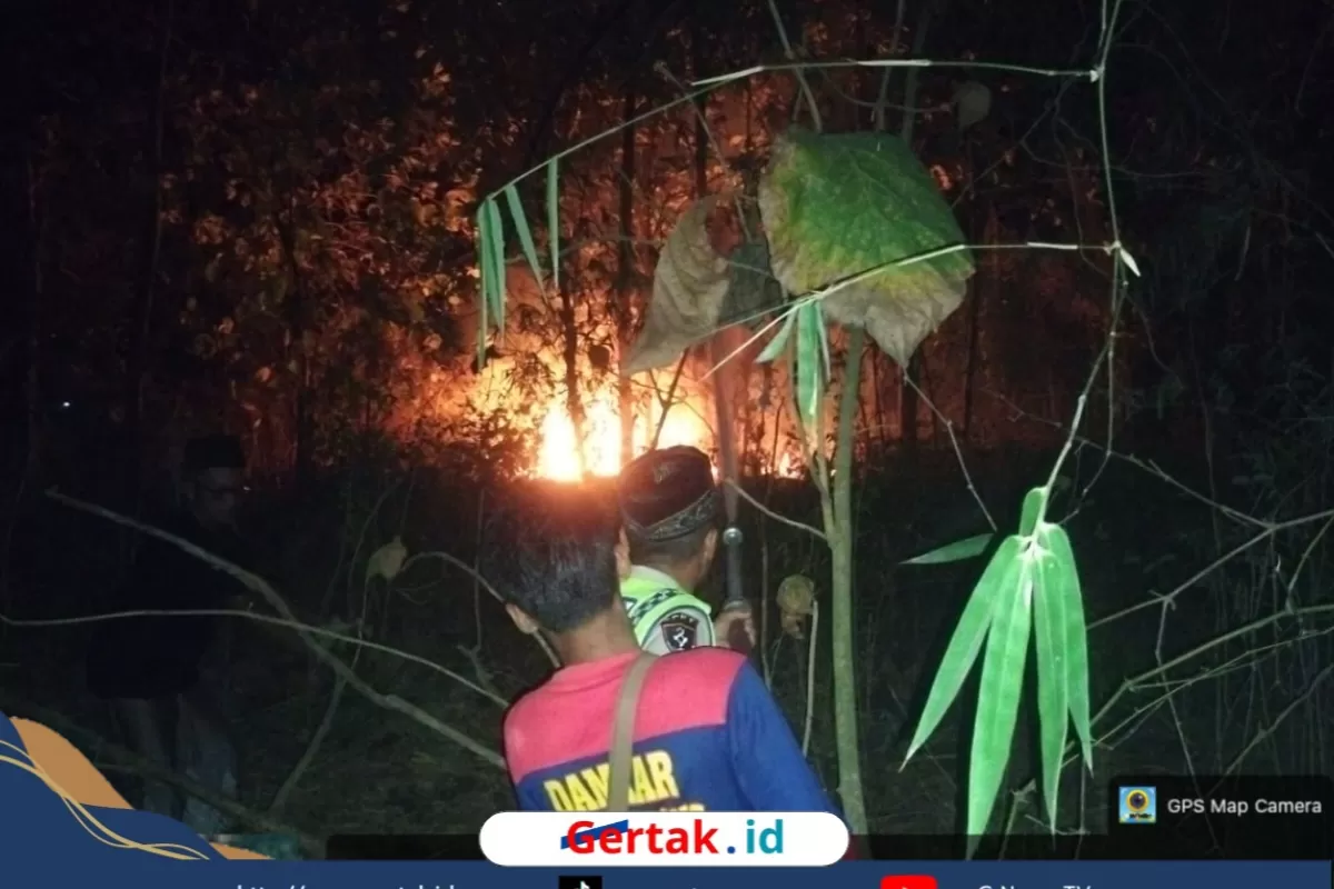 Kebakaran Lahan Bambu di Torjun Sampang Bikin Warga Geger  