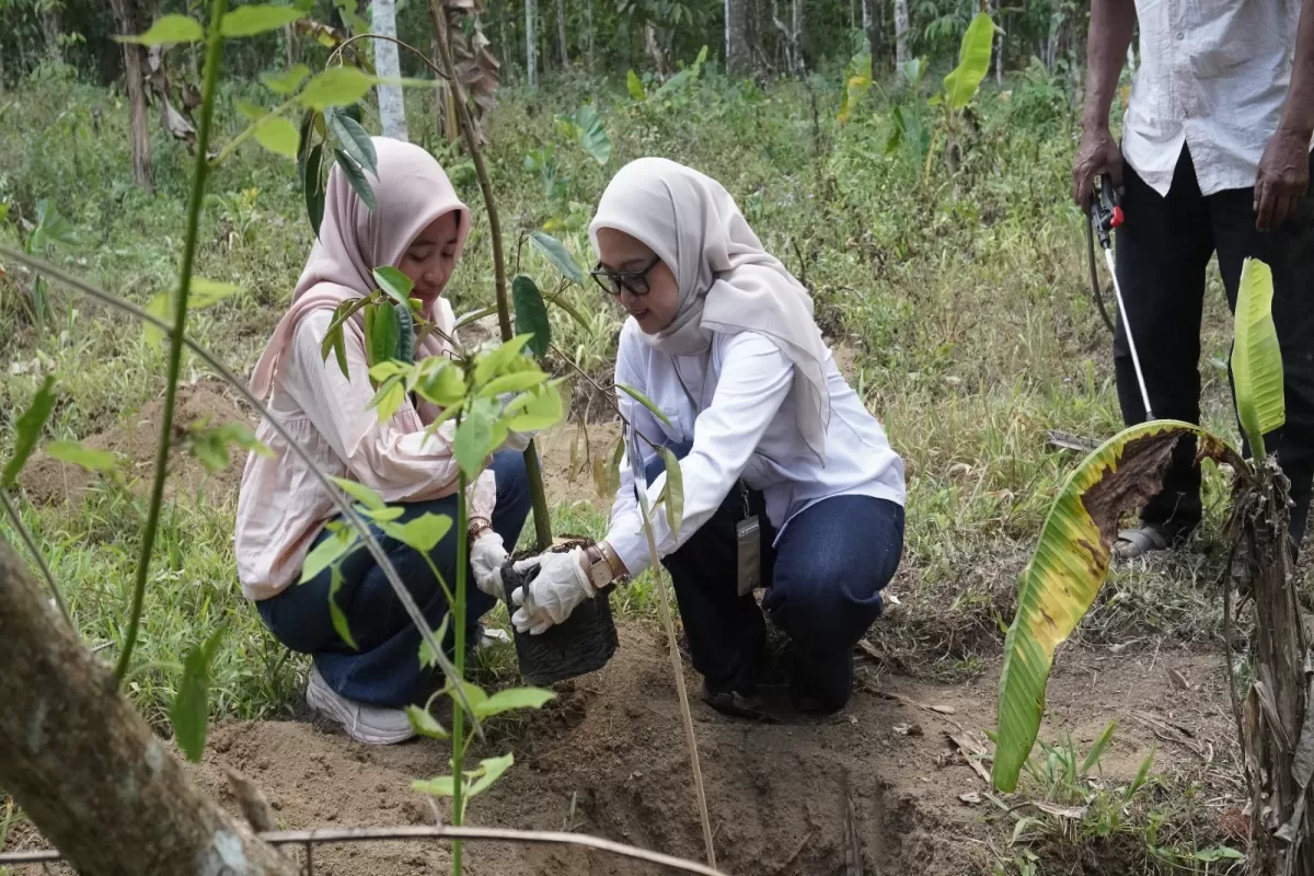 Daki Gunung Raung, Insan PNM Tanam 1.000 Bibit Pohon di Banyuwangi