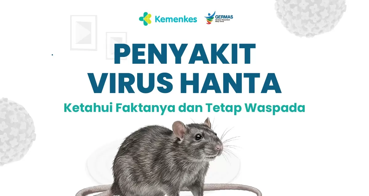 Kemenkes mengimbau masyarakat menjaga kebersihan diri dan lingkungan untuk mencegah penularan virus Hanta.