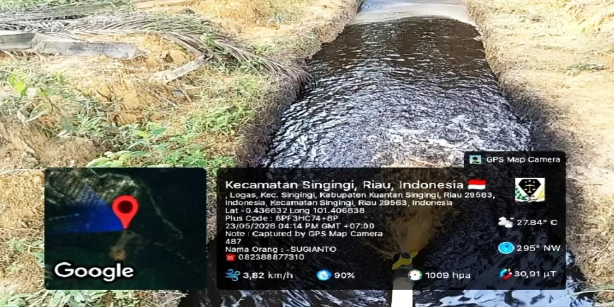 Anak Sungai Singingi yang diduga Tercemar Limbah PT.PCS (Sugianto metro 24)