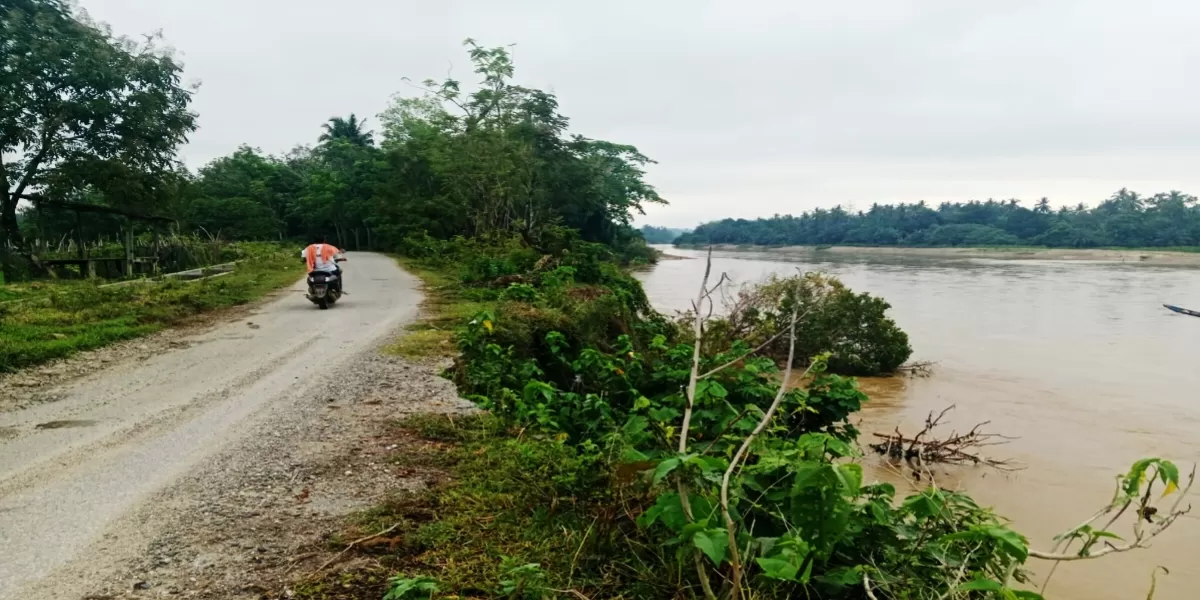 Kondisi tebing yang amblas di Desa Muara Tombang, Kecamatan Kuantan Mudik, Kabupaten Kuantan Singingi (Kuansing), Provinsi Riau (Pedrianto,S.Sos.I)