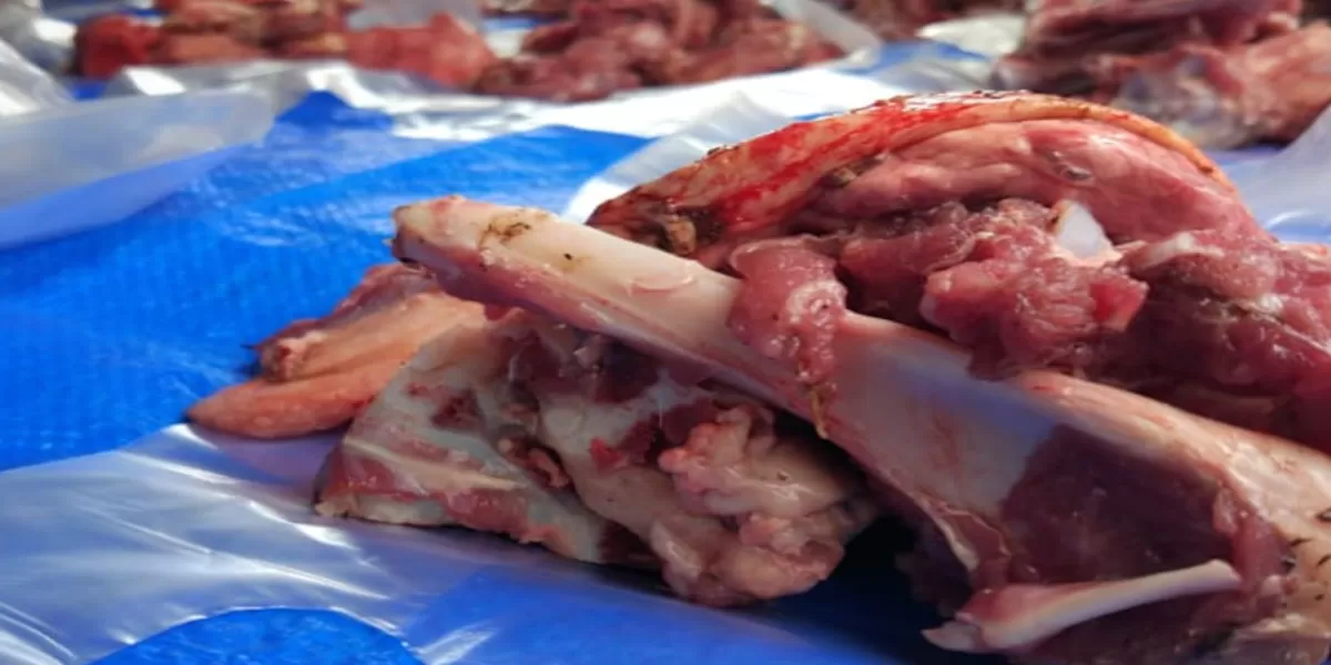 Fhoto Daging Kurban Idul Adha 1447 H (iStock/Evri Onefive))