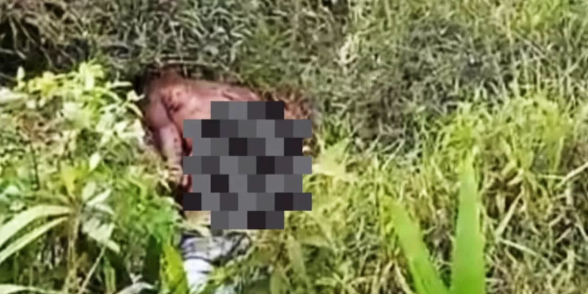 Sesosok mayat pria tanpa identitas di kawasan Muaro Tiu, Kecamatan Pucuk Rantau, Kabupaten Kuantan Singingi, Riau. (iNews86.Com)