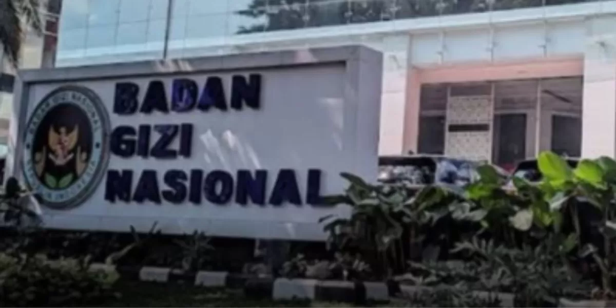 Menyoroti dugaan kasus tata kelola Badan Gizi Nasional (BGN) di era kepemimpinan Dadan Hindayana.  (Instagram.com/@pandemictalks)