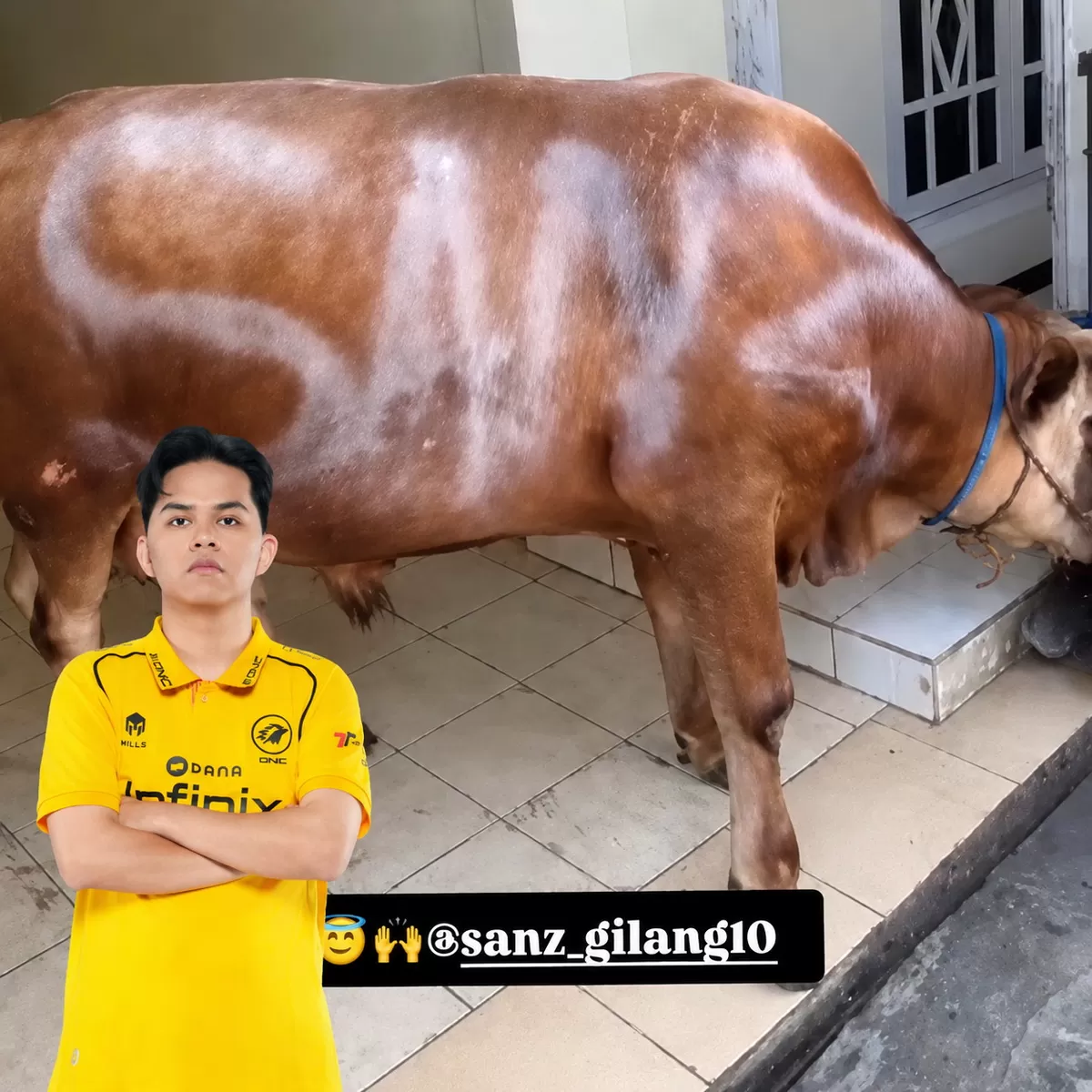 ONIC SANZ (IG: _ptraagung edit by: Aldi )
