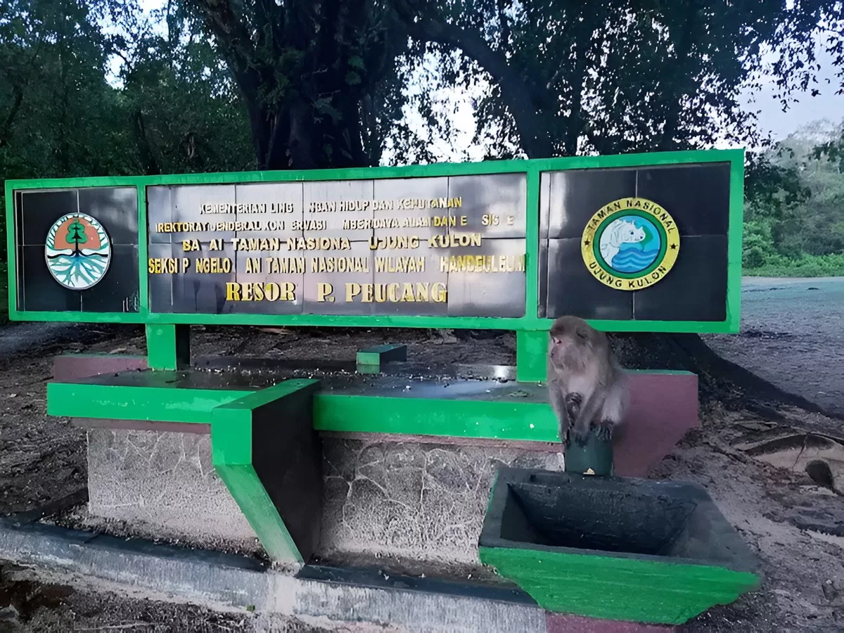 Taman Nasional Ujung Kulon (Maps: Bunda Dewi)