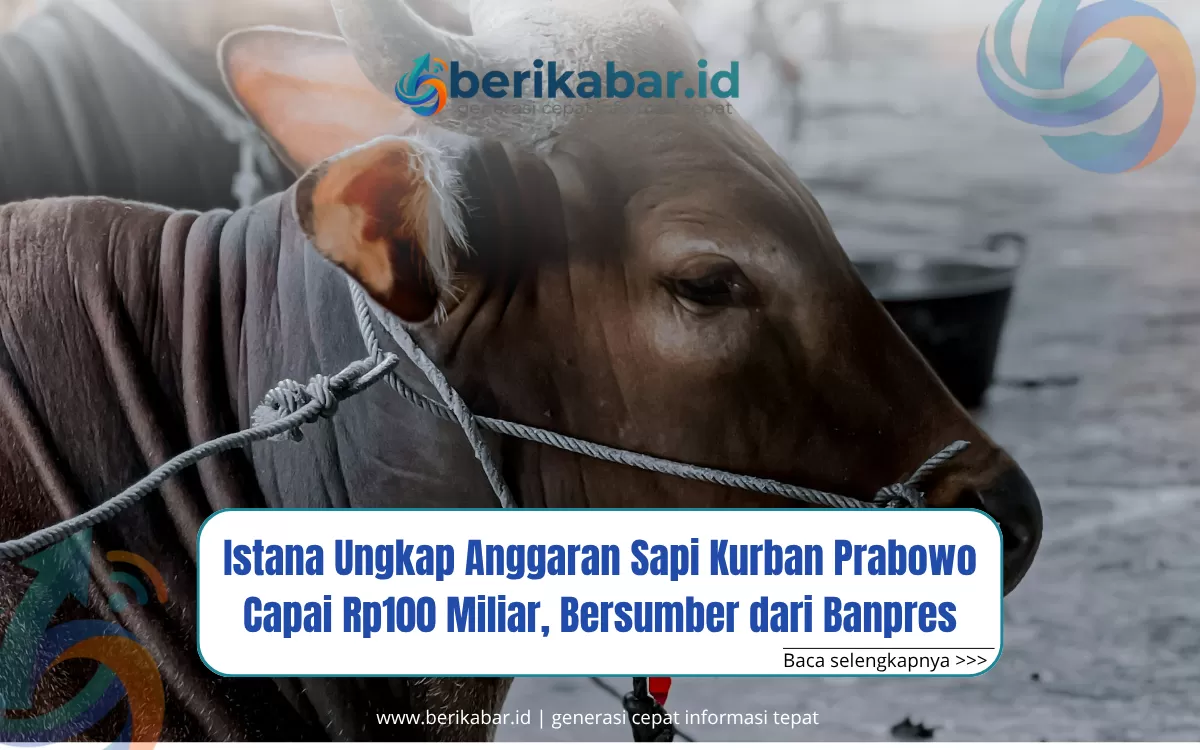 Istana Ungkap Anggaran Sapi Kurban Prabowo Capai Rp100 Miliar, Bersumber dari Banpres