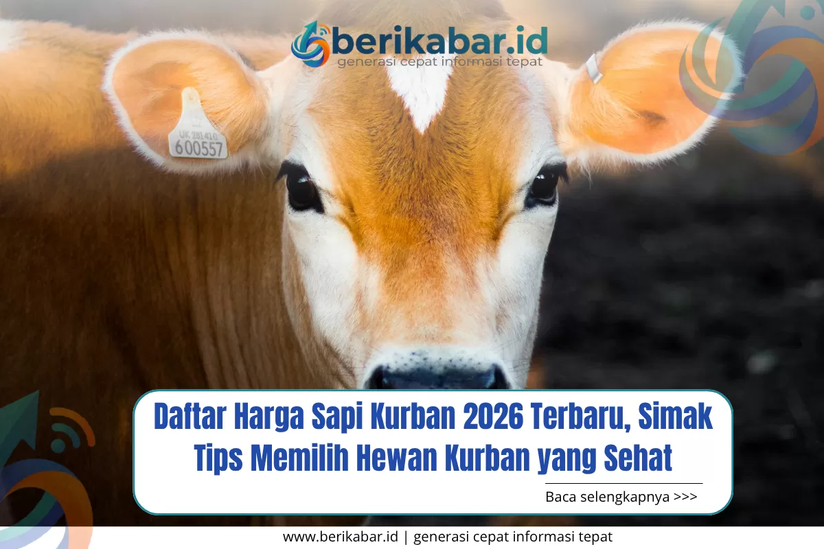 Harga sapi kurban 2026 mulai Rp20 jutaan. Simak daftar harga terbaru dan tips memilih hewan kurban yang sehat.