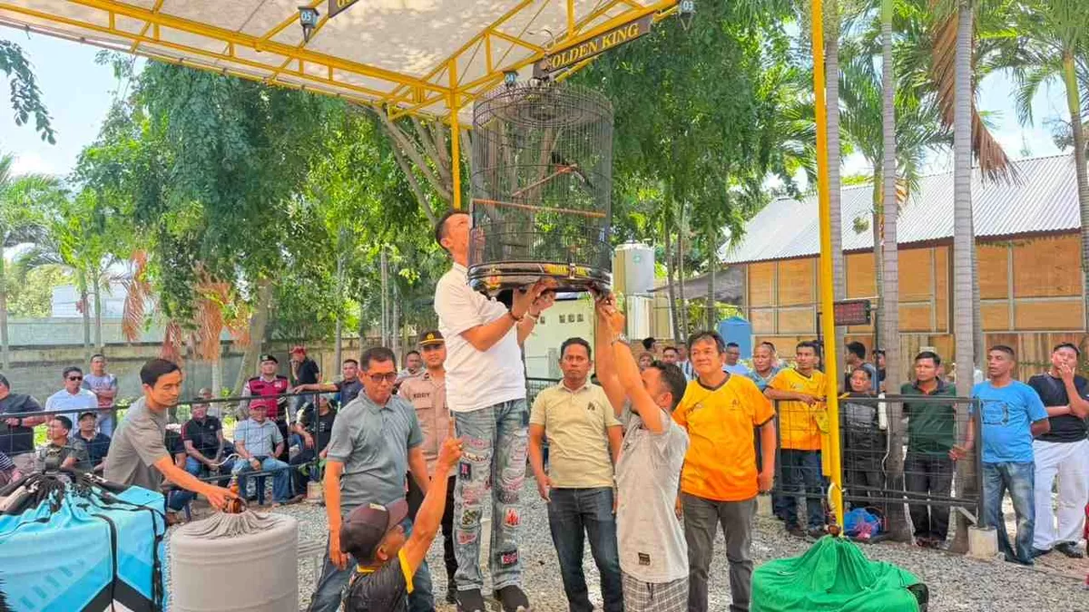 Kicau Mania Kapolresta Cup 2026 di Lapangan Golden King Gampong Pineung Kecamatan Syiah Kuala Kota Banda Aceh, Minggu, 12 Juli 2026. (Dok. Polresta Banda Aceh)