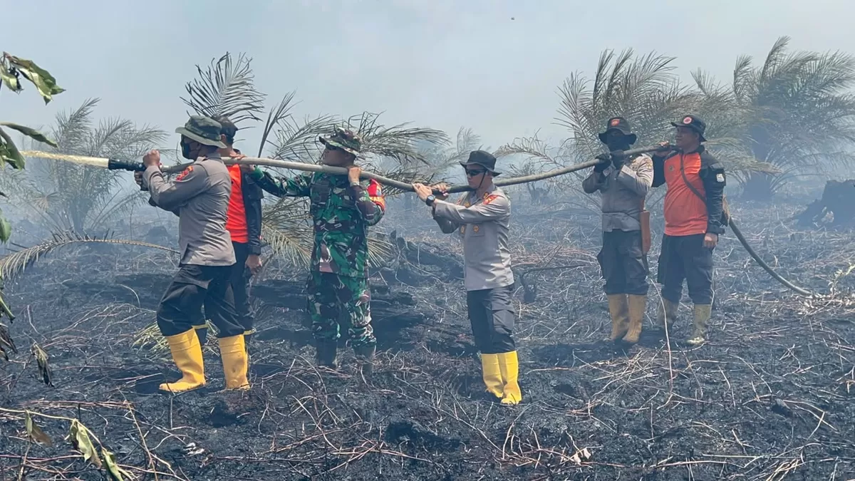 Kapolres Muaro Jambi Turun Langsung Cek Penanganan Karhutla Sungai Gelam . (Doc. Humas Polres Muaro Jambi)