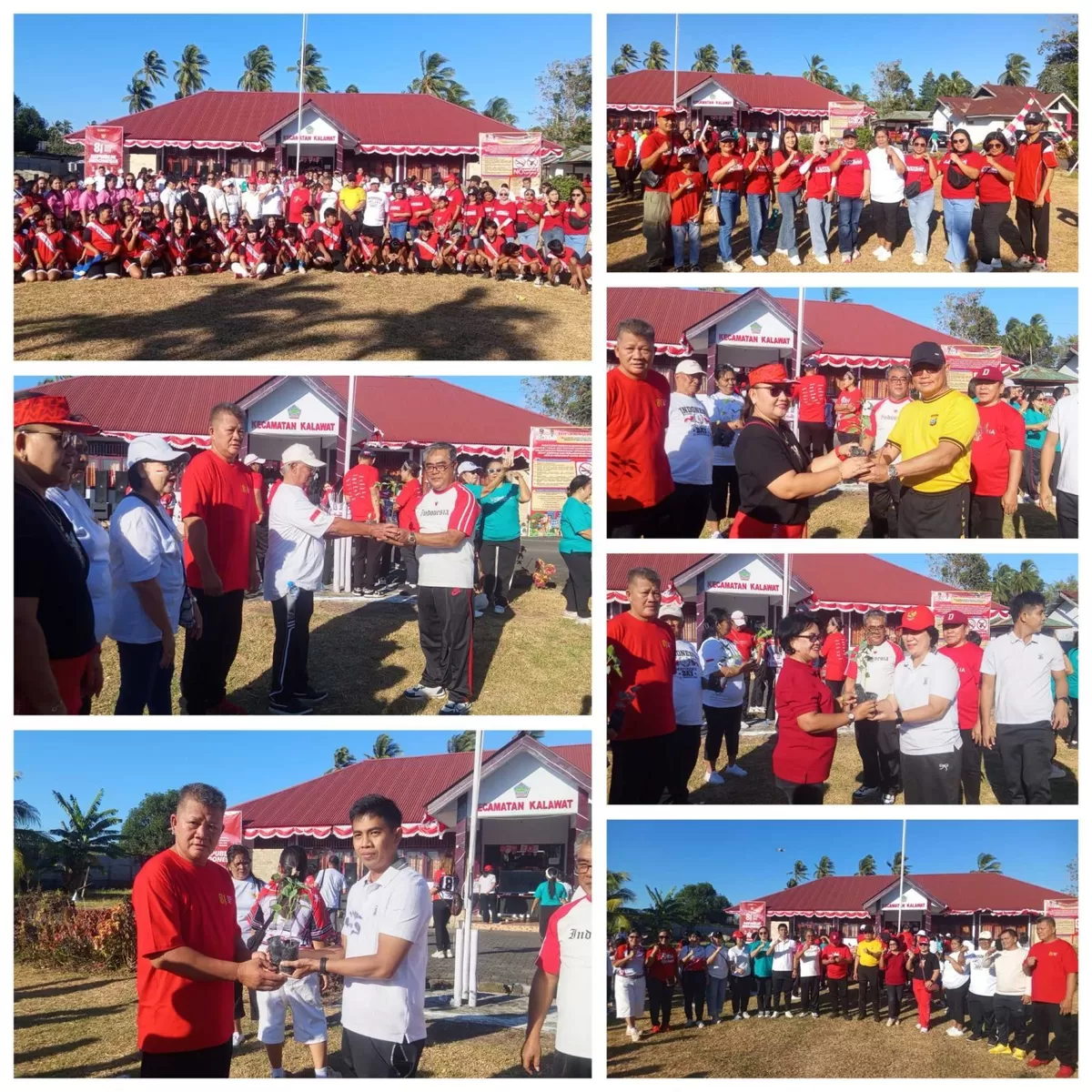 Semarak Jepang HUT RI ke-81 Tahun, Kecamatan Kalawat Gelar Jalan Sehat dan Bagi-bagi Bibit Rica (Foto :ist)