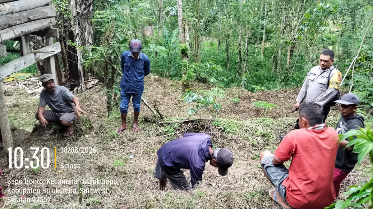 Bhabinkamtibmas Polsek Bulukumpa Aiptu Hajar Aswad menyambangi petani porang di kebun Dusun Sapobonto, Bulukumba (Humas Polres Bulukumba )