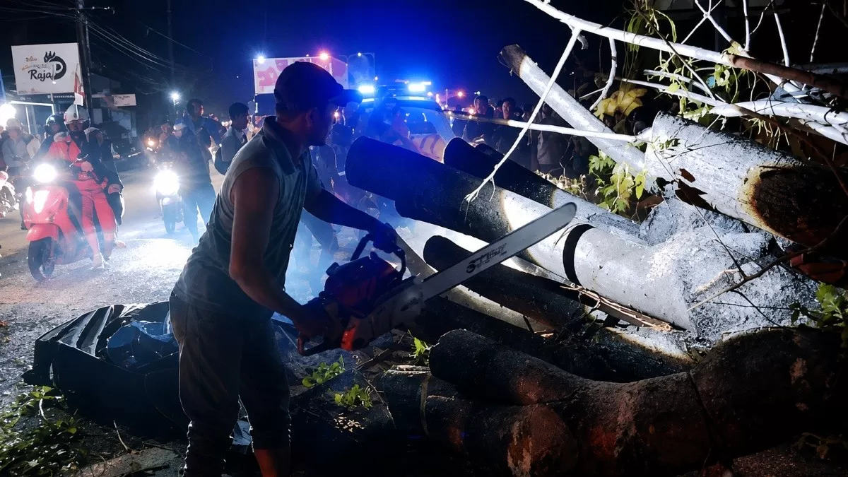 Petugas BPBD membersihkan material pohon tumbang menyebabkan tujuh orang meninggal dunia di Pidie, Aceh, Selasa (11/8/2026) malam.