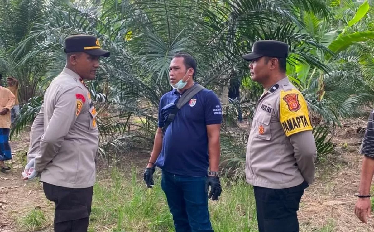 Sekitar pukul 15.00 WIB, saksi yang hendak menyapu di bawah rumah panggung melihat korban tergeletak dalam kondisi tidak bergerak.