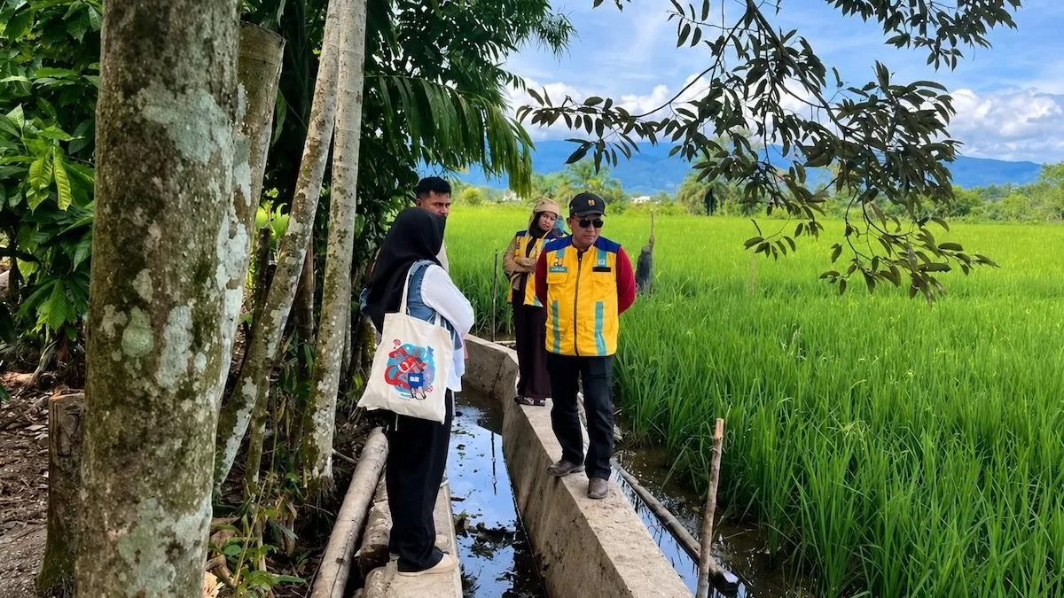 Peninjauan lahan sawah terdampak di Kabupaten Nagan Raya, Aceh.