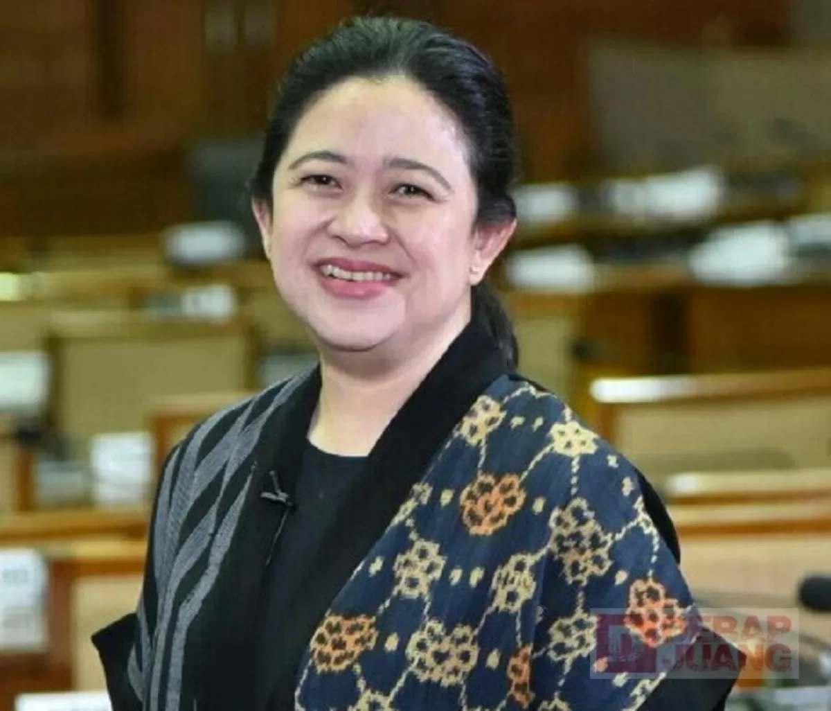 Ketua DPR RI Puan Maharani.(Istimewa).