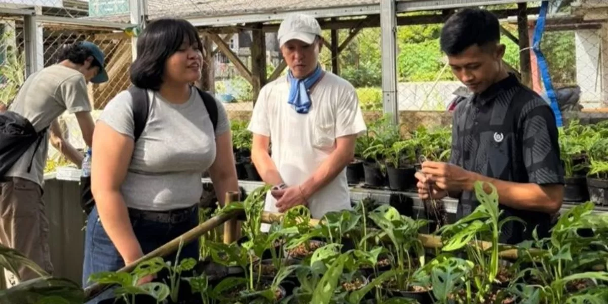 Yahya Saeful Uyun yang sedang menerima kunjungan wisatawan Jepang ke toko tanaman hiasnya.  (Istimewa )