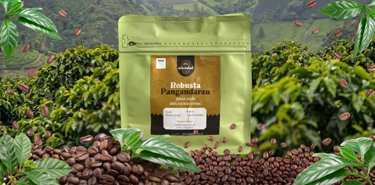 Kopi Robusta asal Kabupaten Pangandaran. Dok Iis Sunisih