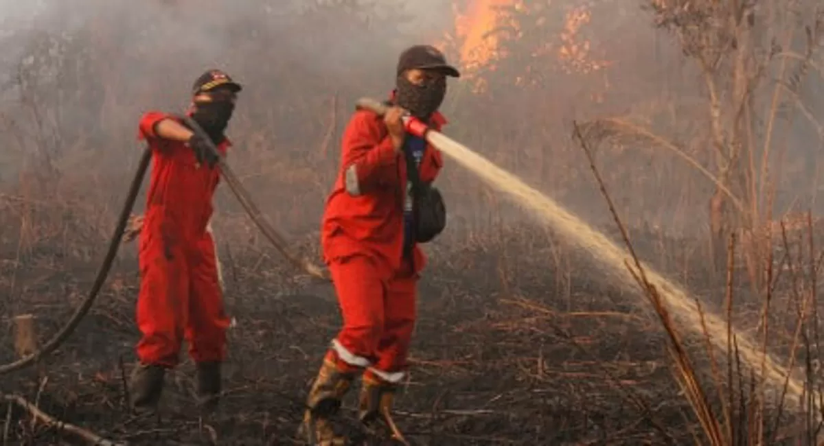 Kutai Kartanegara dan Paser Membara, BNPB Kerahkan Armada Udara di 6 Provinsi Prioritas Karhutla