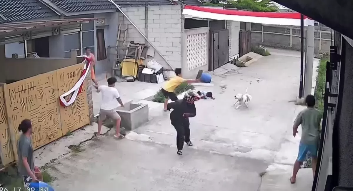 Rekaman kamera pengawas warga saat seekor anjing pitbull menyerang seorang anak sembilan tahun di Arjasari, Kabupaten Bandung, Jawa Barat. ANTARA/HO-Kamera pengawas warga.