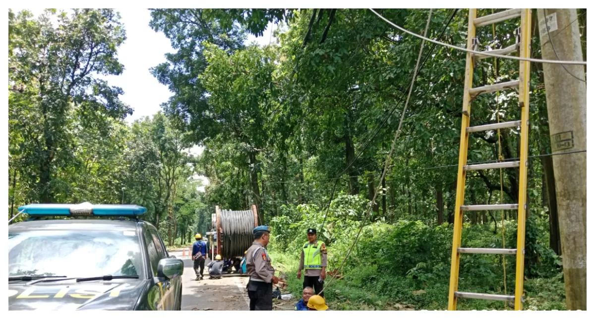 Aparat Kepolisian Resot Pemalang dan PLN melakukan Perbaikan Sarana Usai Pohon Tumbang Terjang Pemaang (Agus R)